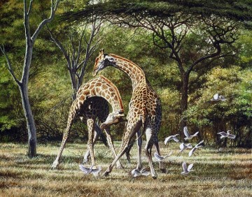 Duellieren Giraffen und Vögelen Ölgemälde